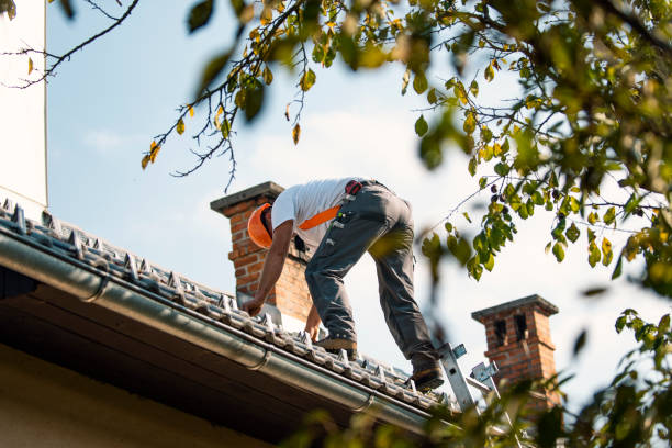 Best Best Roofing Contractors  in Springfield, IL