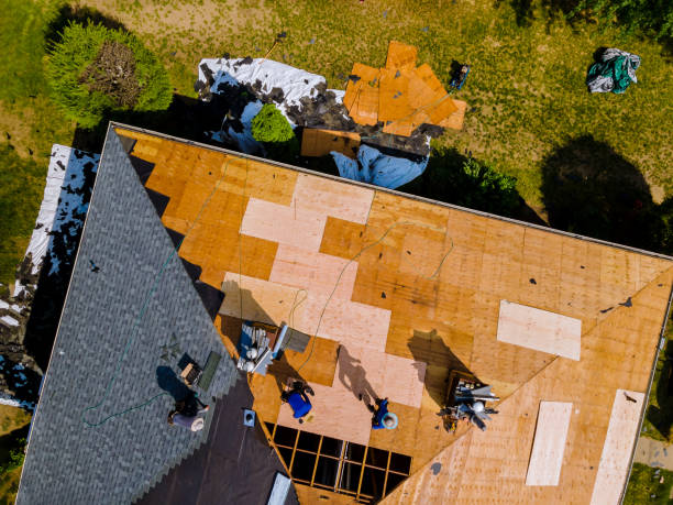 Best Residential Roofing Contractor  in Springfield, IL
