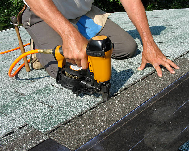 Roof Gutter Cleaning in Springfield, IL