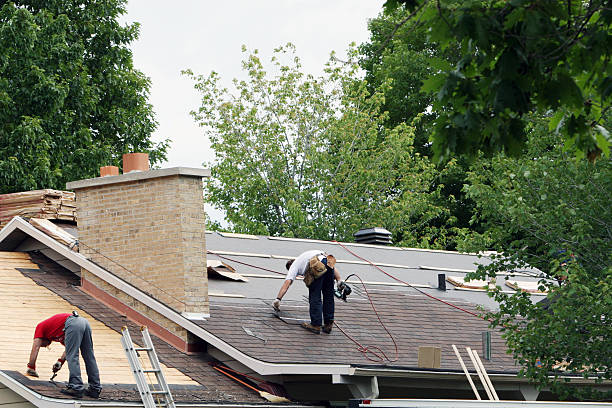 Best Metal Roofing Contractor  in Springfield, IL