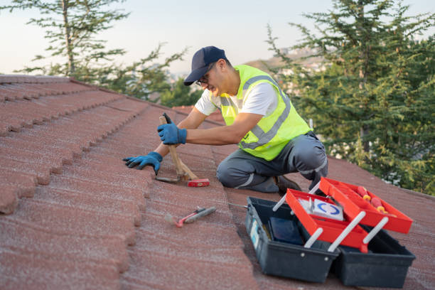 Professional Roofing Contractor in Springfield, IL