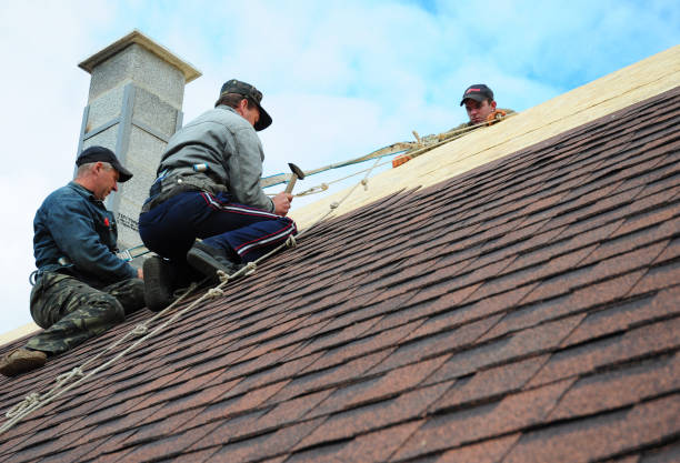 Best New Roof Installation  in Springfield, IL